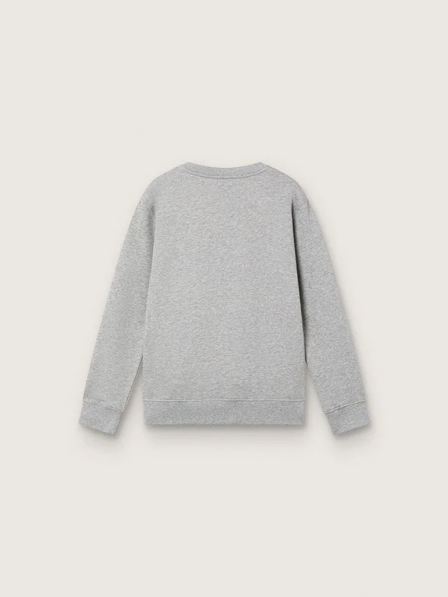 «Journey»-Sweatshirt mit Rundhalsausschnitt für Jungen aus grau melierter Baumwolle mit Maskottchen-Print