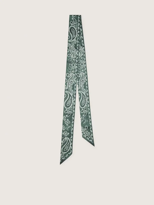 Set aus zwei Twill-Bändern mit grünem Paisley-Muster